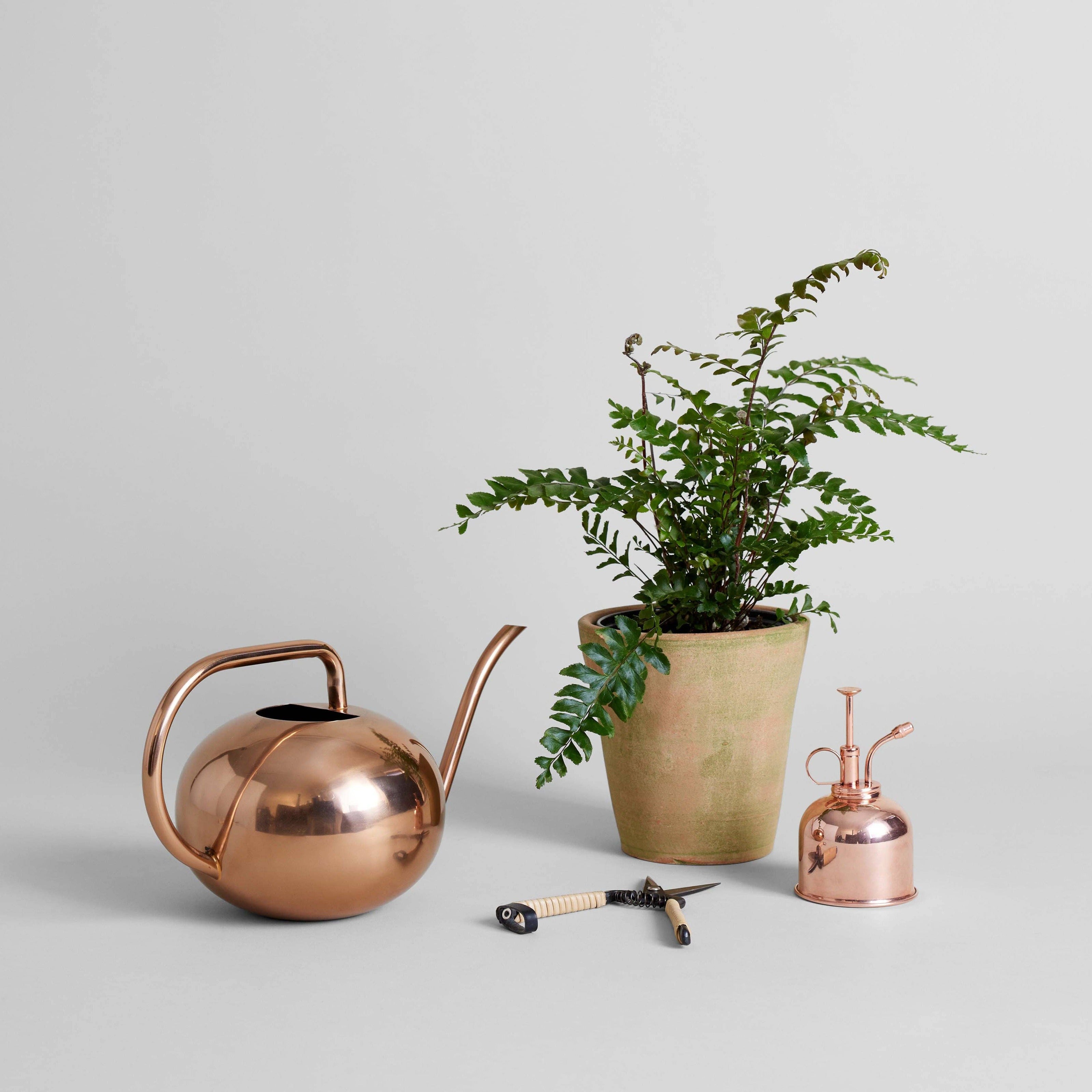 Studio Planter, Greenwash