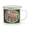 SB Svenska Barn Enamel Mug (3 different types)