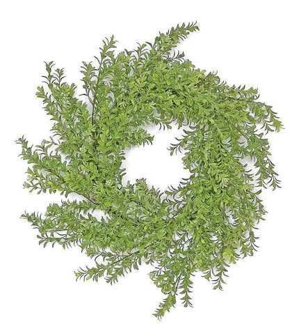 Seeding Boxwood Wreath, 24